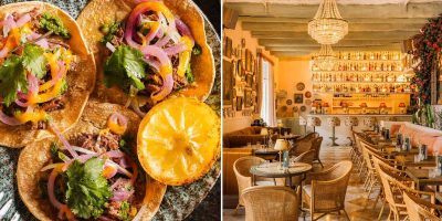 tigermilk-marseille1